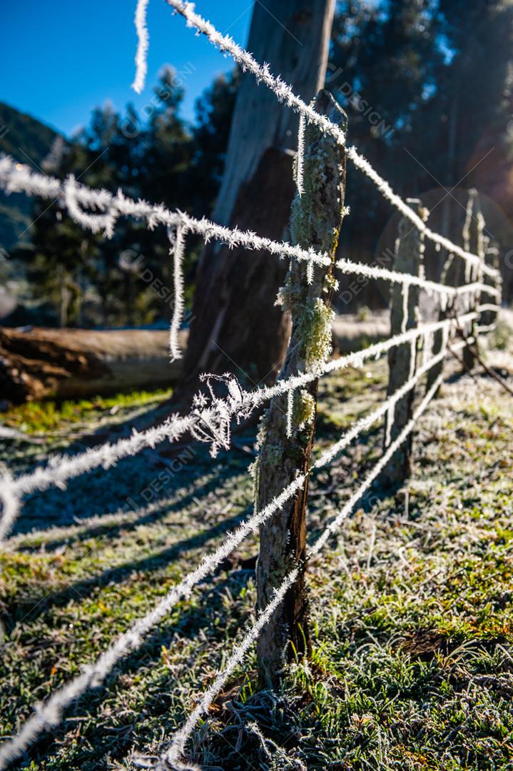 Arame farpado fazenda por do sol céu azul