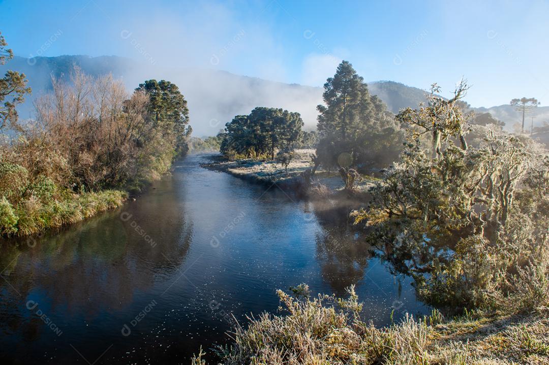 Linda paisagem lago sobre floresta avore galhos