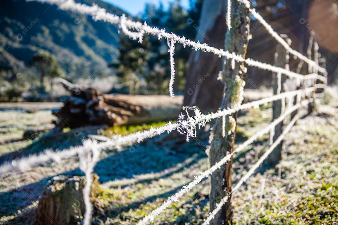 Arame farpado fazenda por do sol céu azul