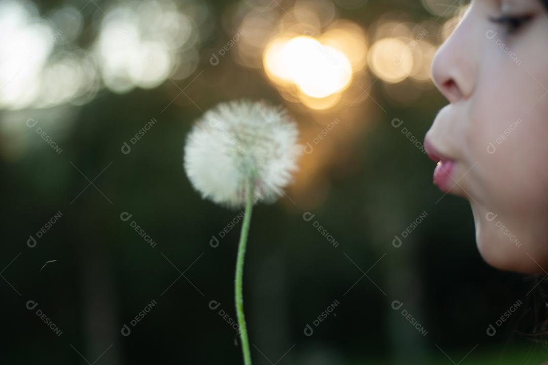 Garota criança soprando um dente de leão planta flor