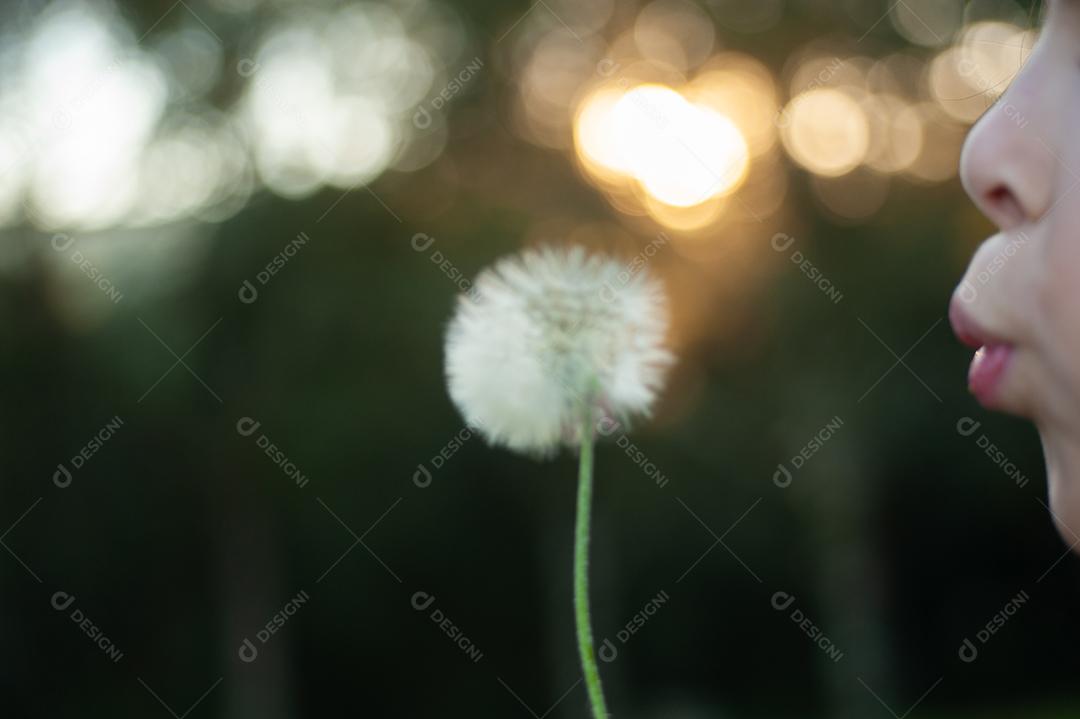 Garota criança soprando um dente de leão planta flor