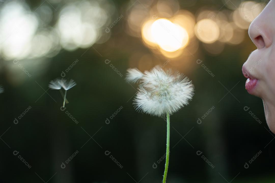 Garota criança soprando um dente de leão planta flor