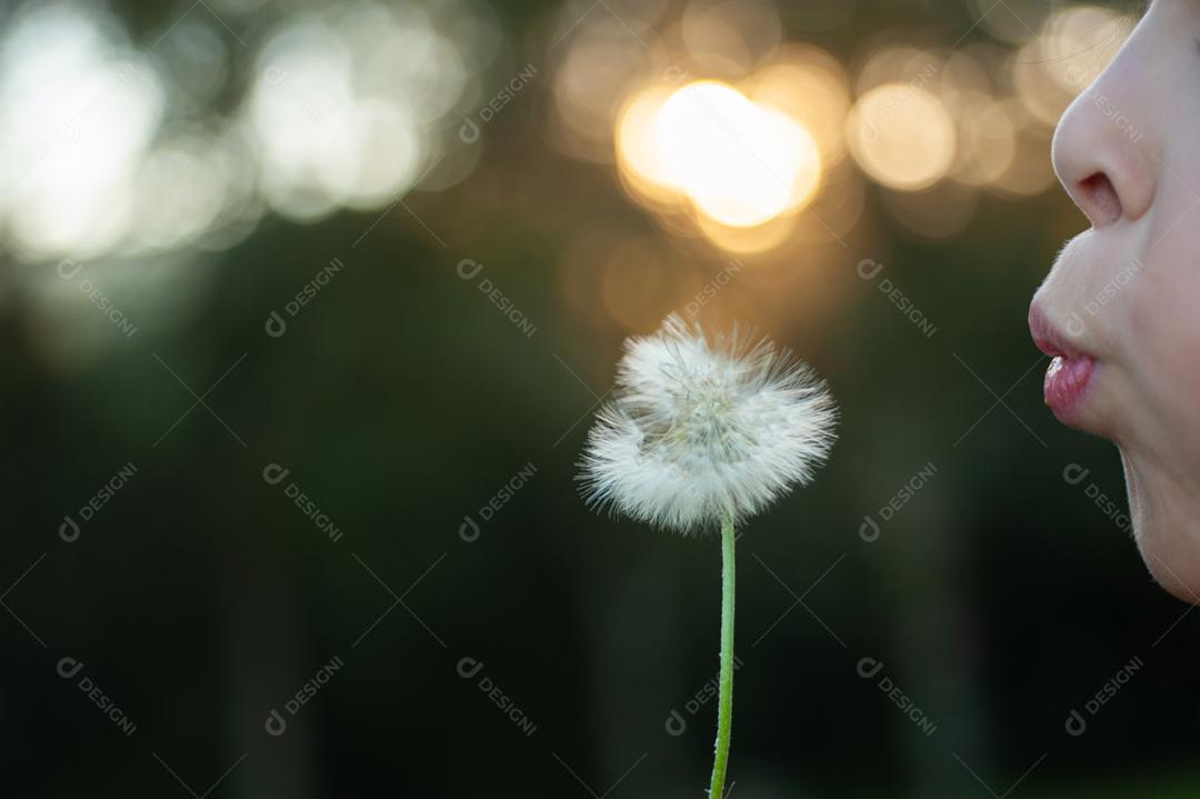 Garota criança soprando um dente de leão planta flor
