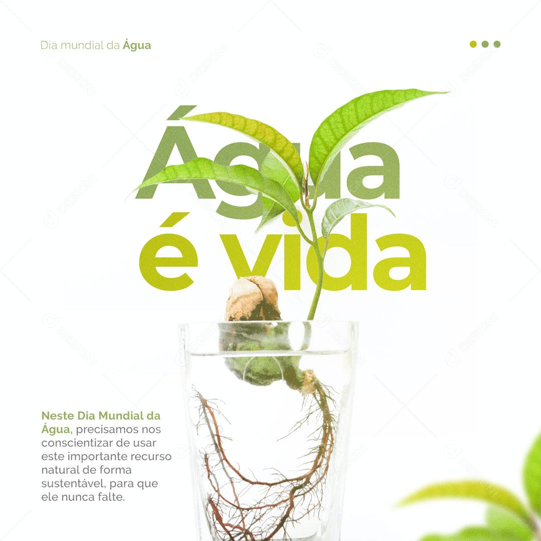 Social Media Dia Mundial da Água 22 de Março Agua é Vida PSD Editável