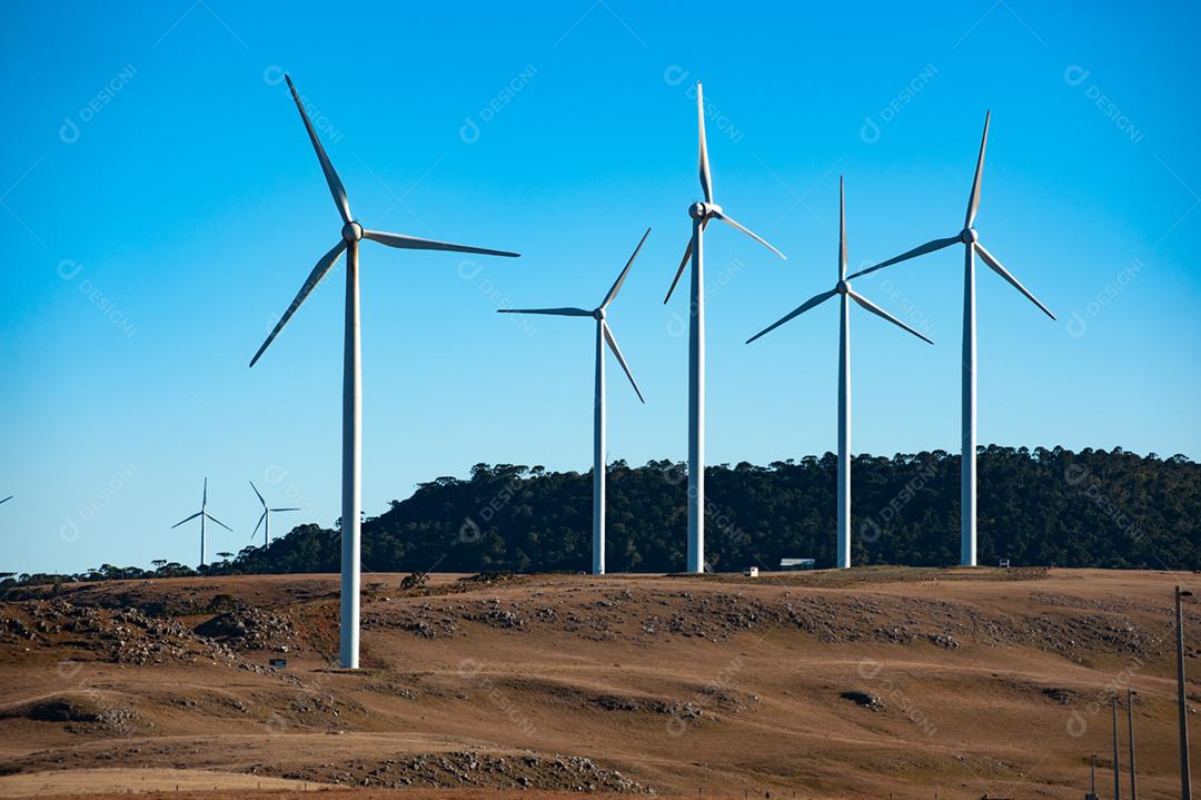 Parque eólico projeto industria