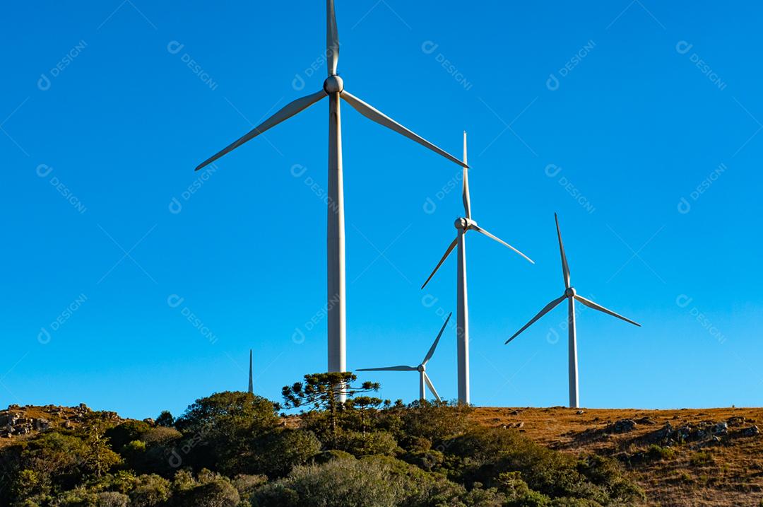 Parque eólico projeto industria sobre campo céu azul