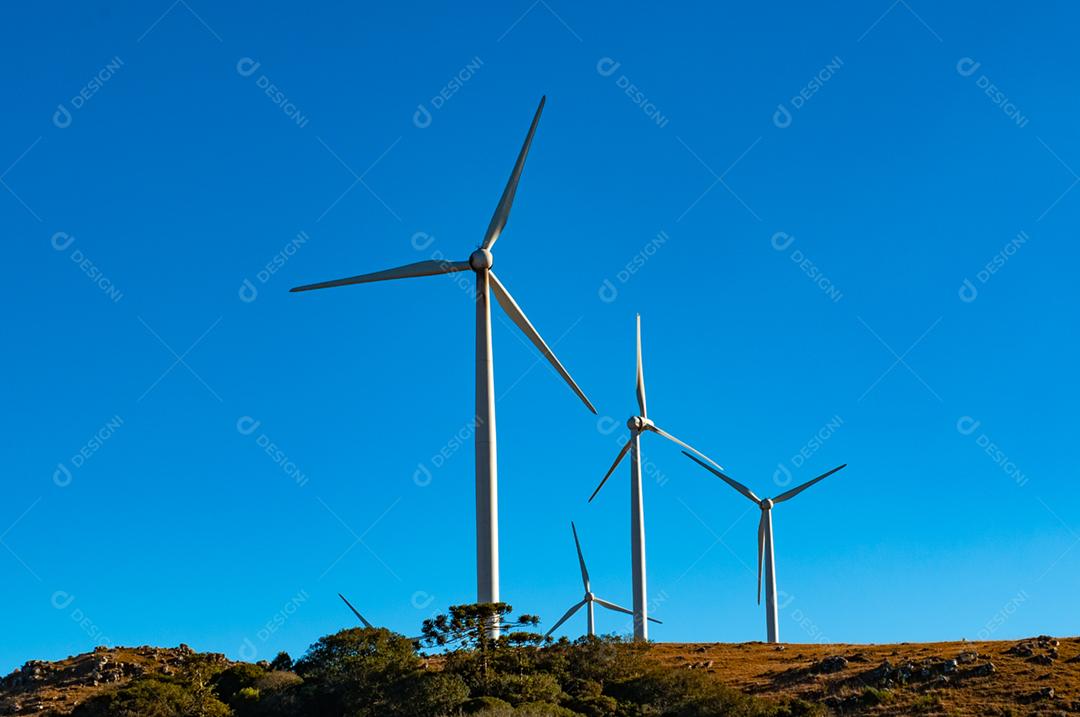 Parque eólico projeto industria sobre campo céu azul