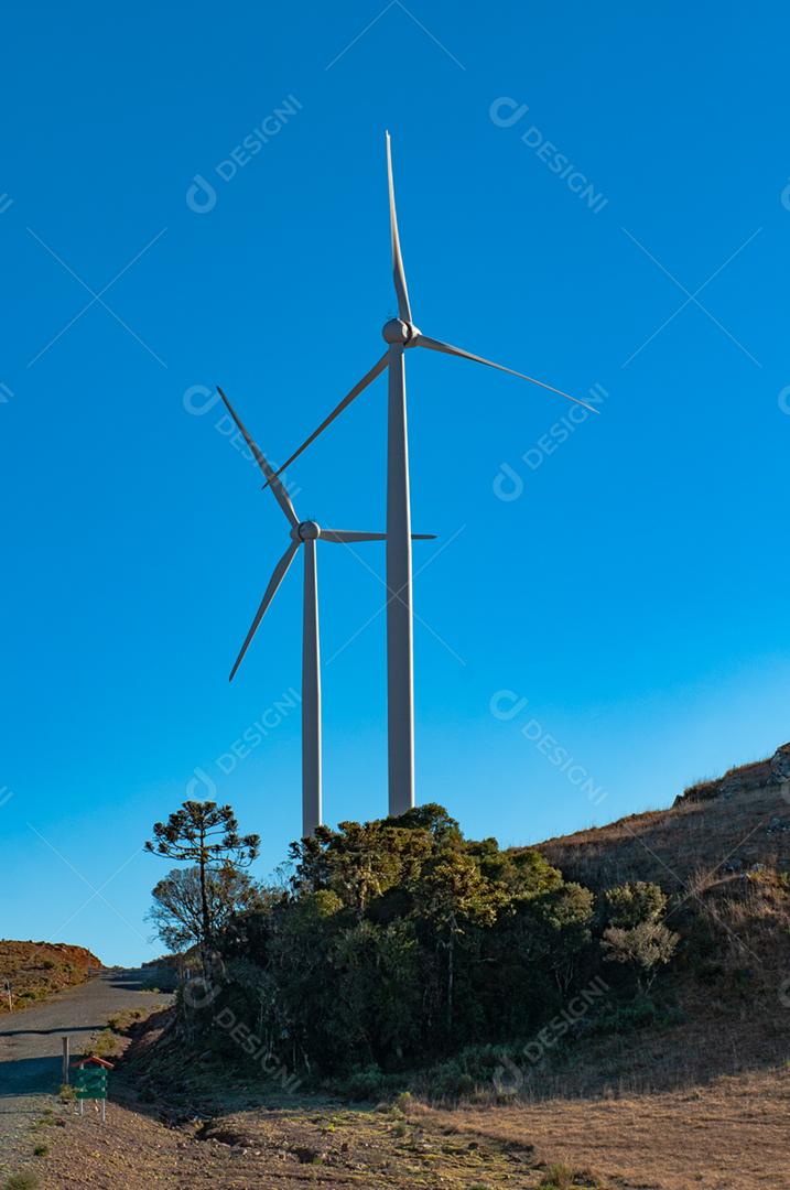 Parque eólico projeto industria sobre campo céu azul