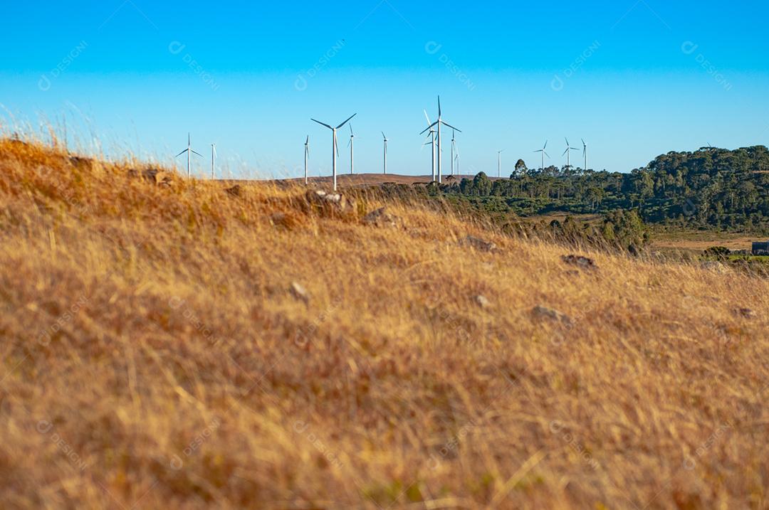 Parque eólico projeto industria sobre campo céu azul