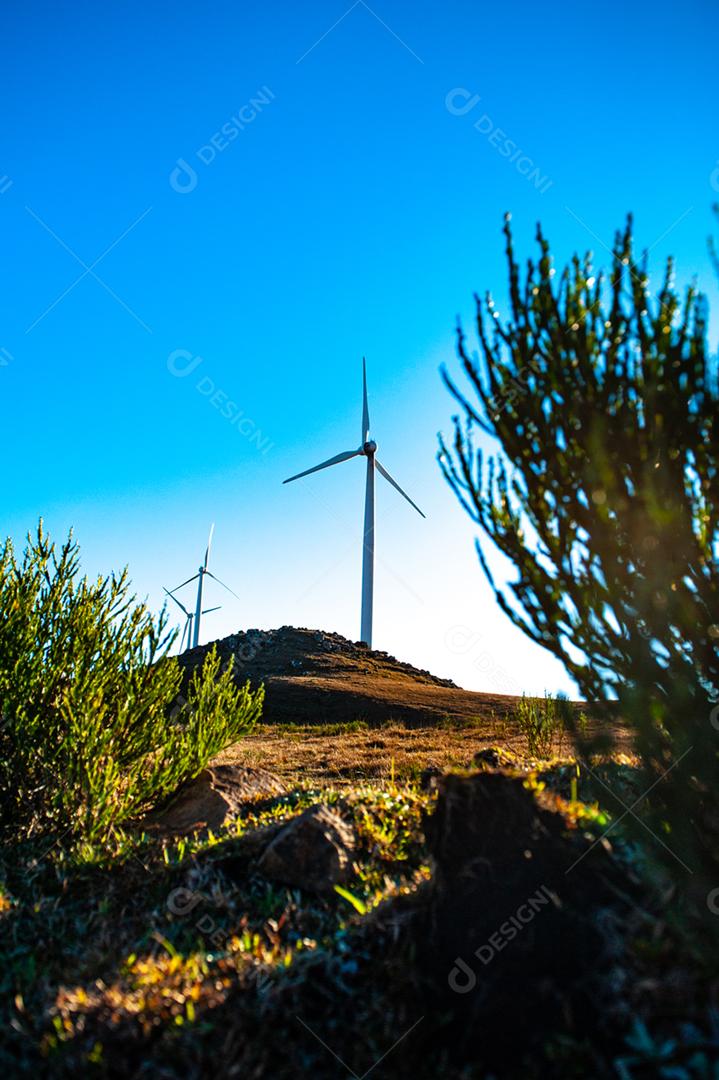 Parque eólico projeto industria sobre campo céu azul