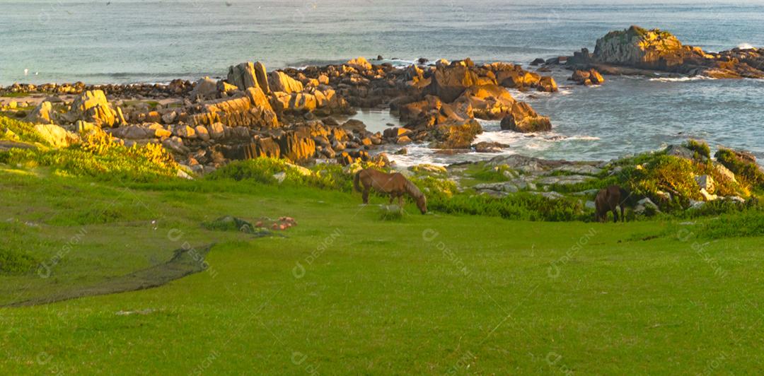 Paisagem vista por do sol praia lago céu nublado