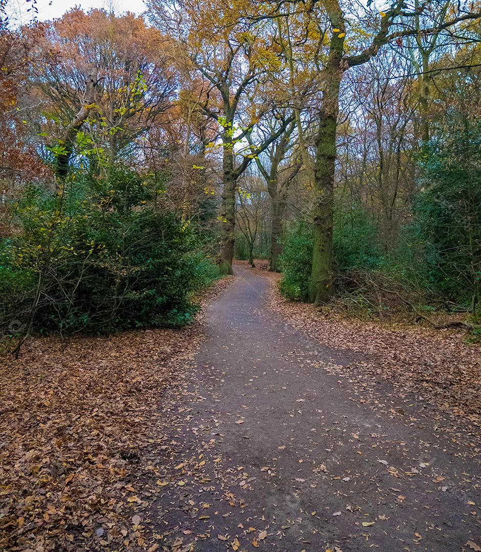 Parque na cidade de Londres na temporada de inverno