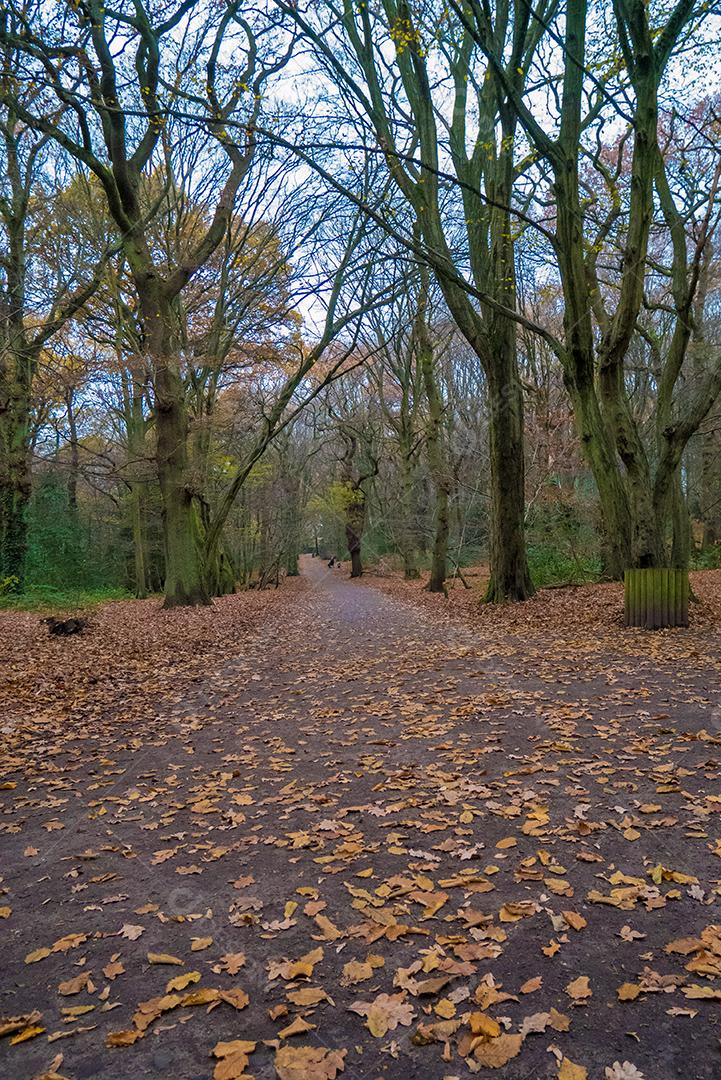 Parque na cidade de Londres na temporada de inverno