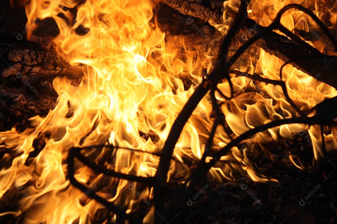 Fogo sobre fornalha lenha brasa