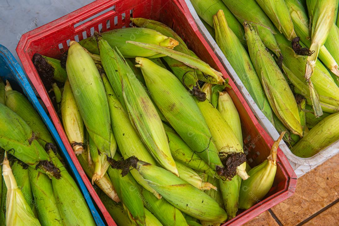 Caixas de espiga de milho verde para venda em uma barraca de feira.
