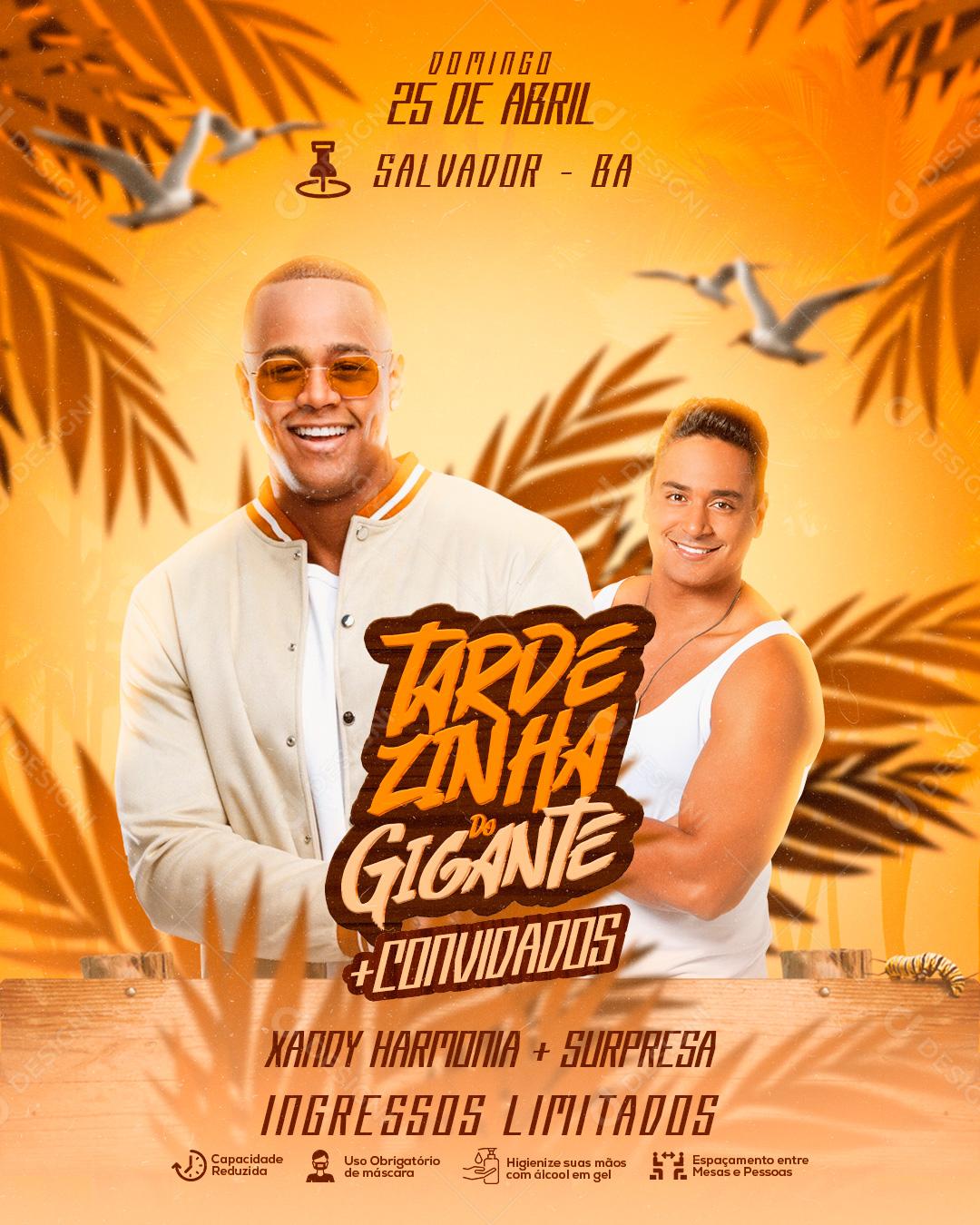 Social Media Tardezinha Gigante Xandy Harmonia e Leó Santana Flyers PSD Editável