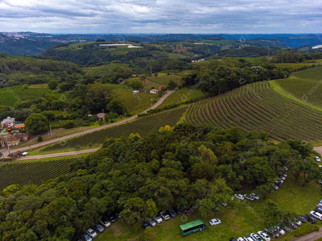 Festival da Colheita realizado no vinhedo do Centro Tecnológico da Vinicola Aurora em Pinto Bandeira, Rio Grande do Sul.
