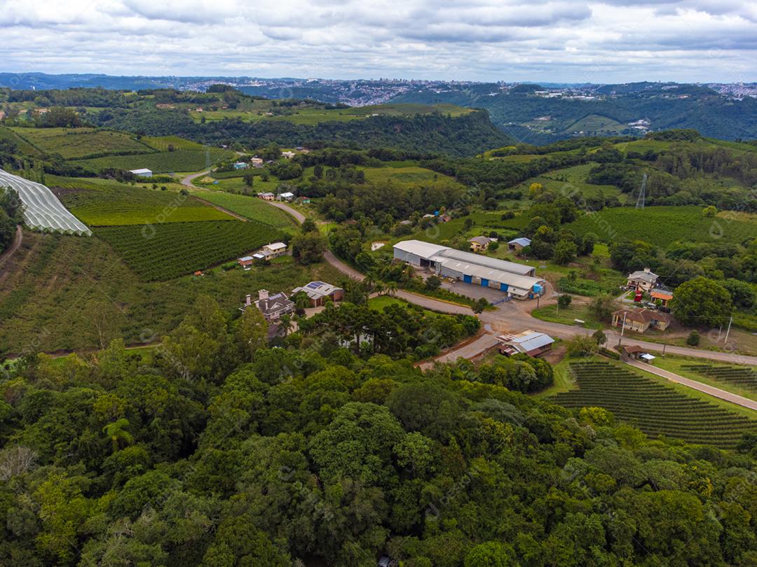 Festival da Colheita realizado no vinhedo do Centro Tecnológico da Vinicola Aurora em Pinto Bandeira, Rio Grande do Sul.
