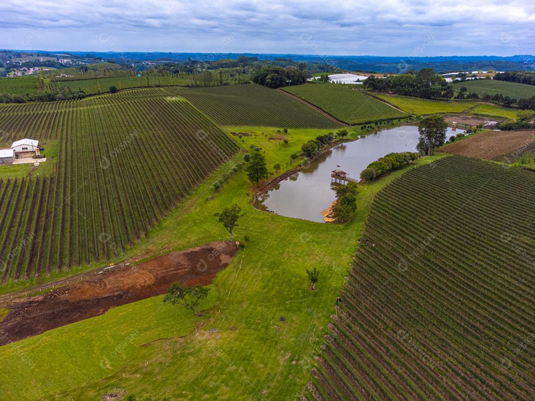 Festival da Colheita realizado no vinhedo do Centro Tecnológico da Vinicola Aurora em Pinto Bandeira, Rio Grande do Sul.