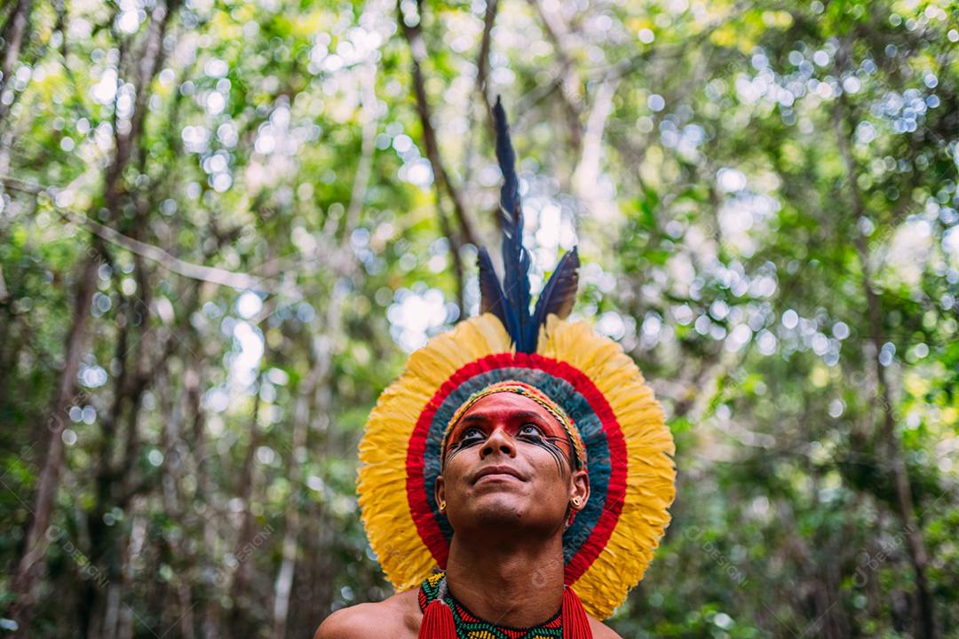 Índio da tribo Pataxó, com cocar de penas e arco e flecha. Índio brasileiro idoso olhando para a direita.