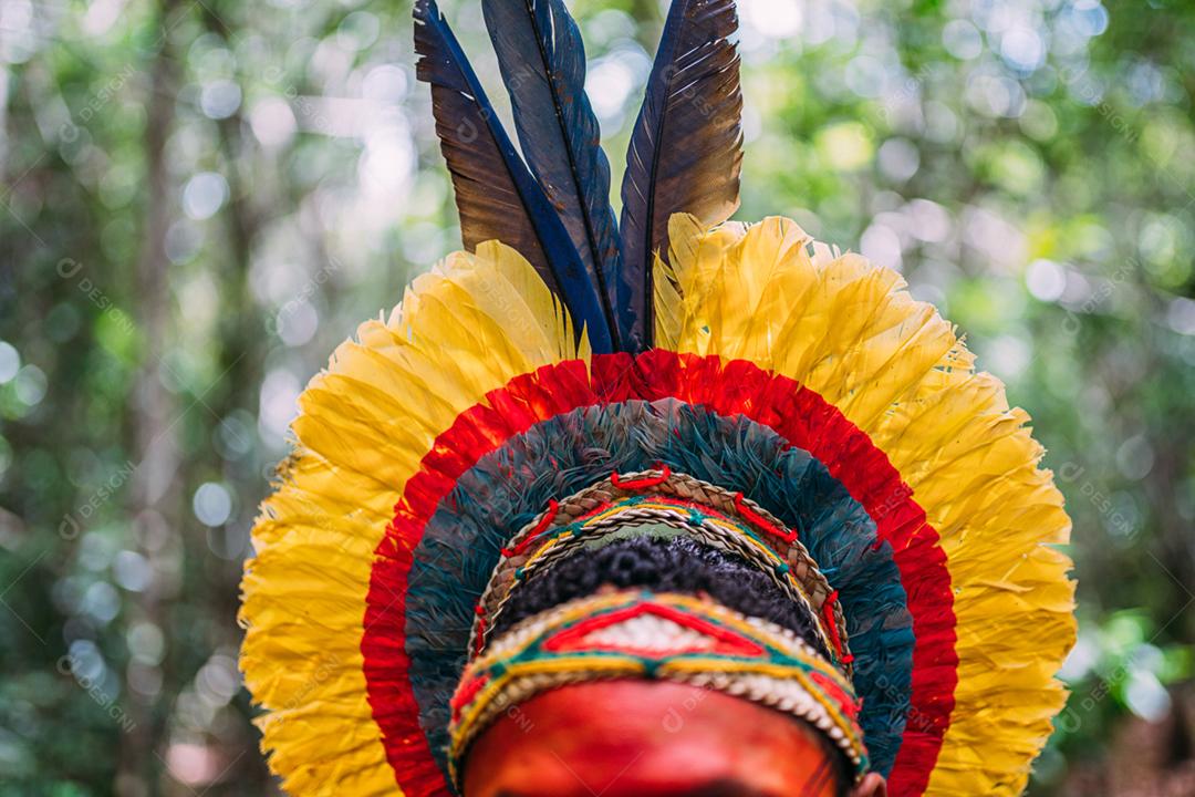 tradicional cocar de penas da tribo Pataxó. foco de cocar