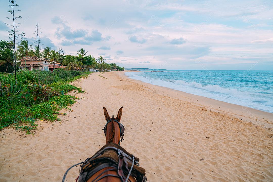 Cavalo em uma praia tropical com areia branca. Turistas cavalgando