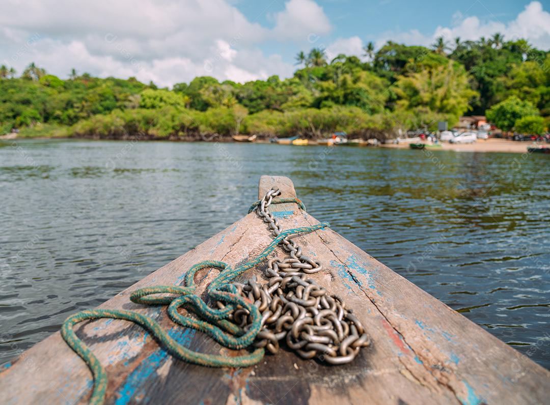 Passeio de barco pelo manguezal no Brasil. Concentre-se na jiboia
