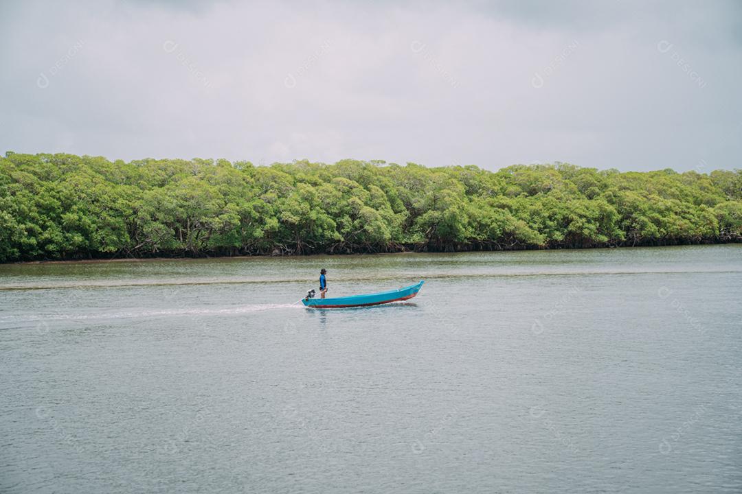 Vista panorâmica à beira-mar da paisagem tranquila do manguezal na costa da Bahia, Brasil