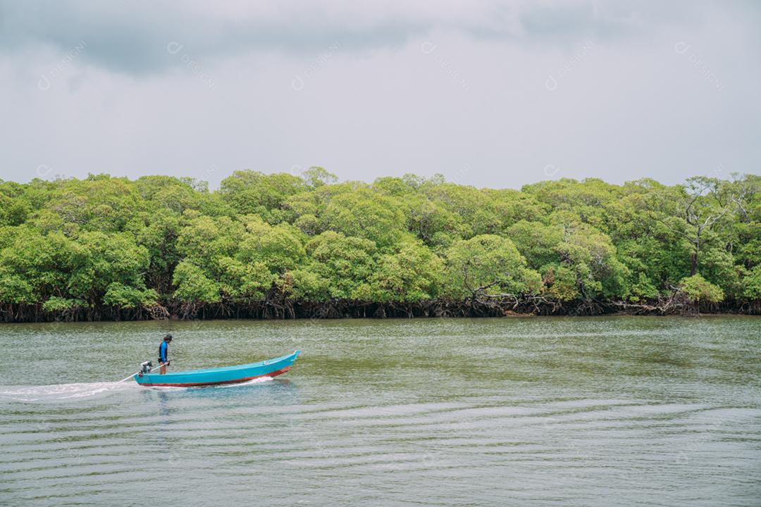 Floresta de mangue, folhagem verde acima da linha dágua e raízes com vida marinha subaquática