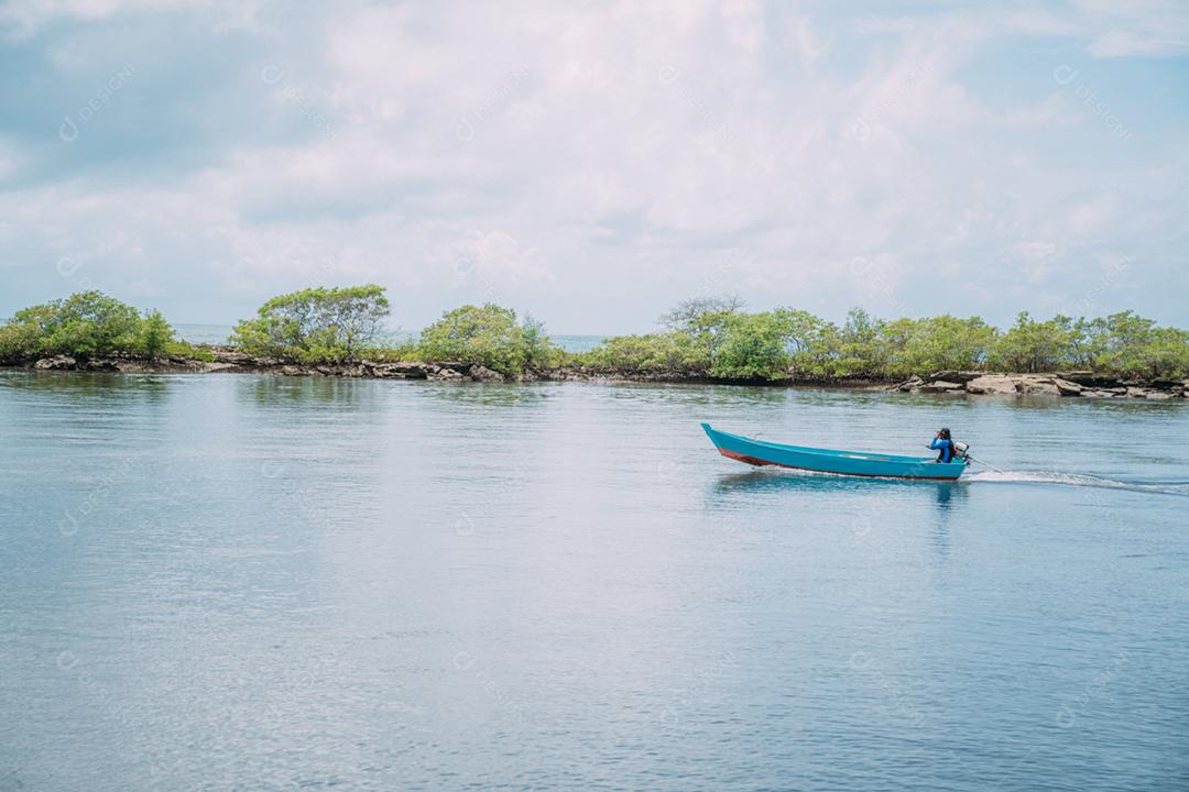 Vista panorâmica à beira-mar da paisagem tranquila do manguezal na costa da Bahia, Brasil