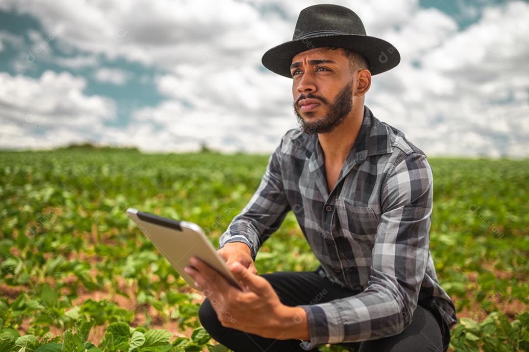 Agricultor latino-americano trabalhando na plantação de soja, examinando o desenvolvimento da cultura no tablet