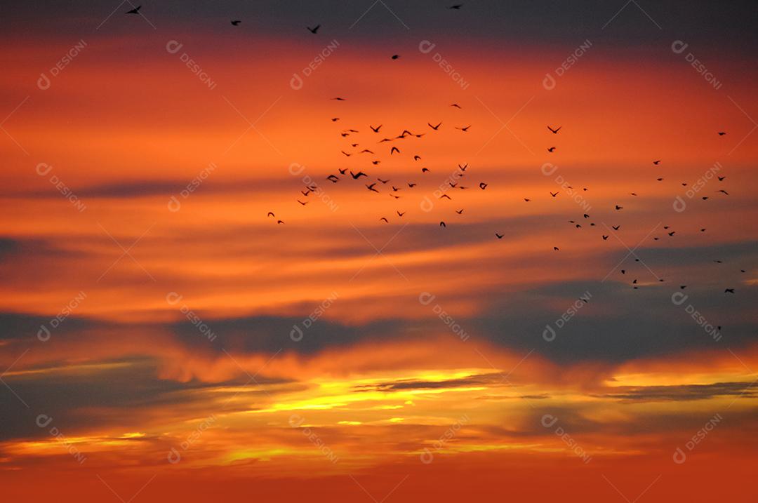 Céu lindo colorido ao por do sol com nuvens.