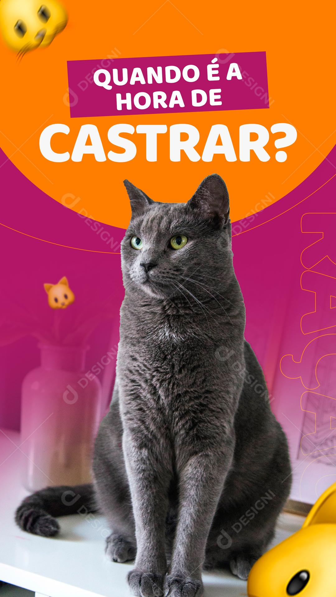 Quando é a Hora De Castrar O Seu Animal Social Media PSD Editável