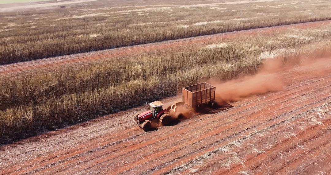 Colheita de cana-de-açúcar em dia ensolarado no Brasil. Vista aérea.