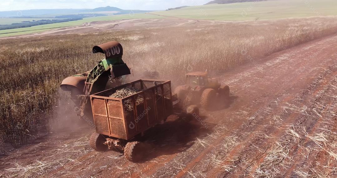 Colheita de cana-de-açúcar em dia ensolarado no Brasil. Vista aérea.