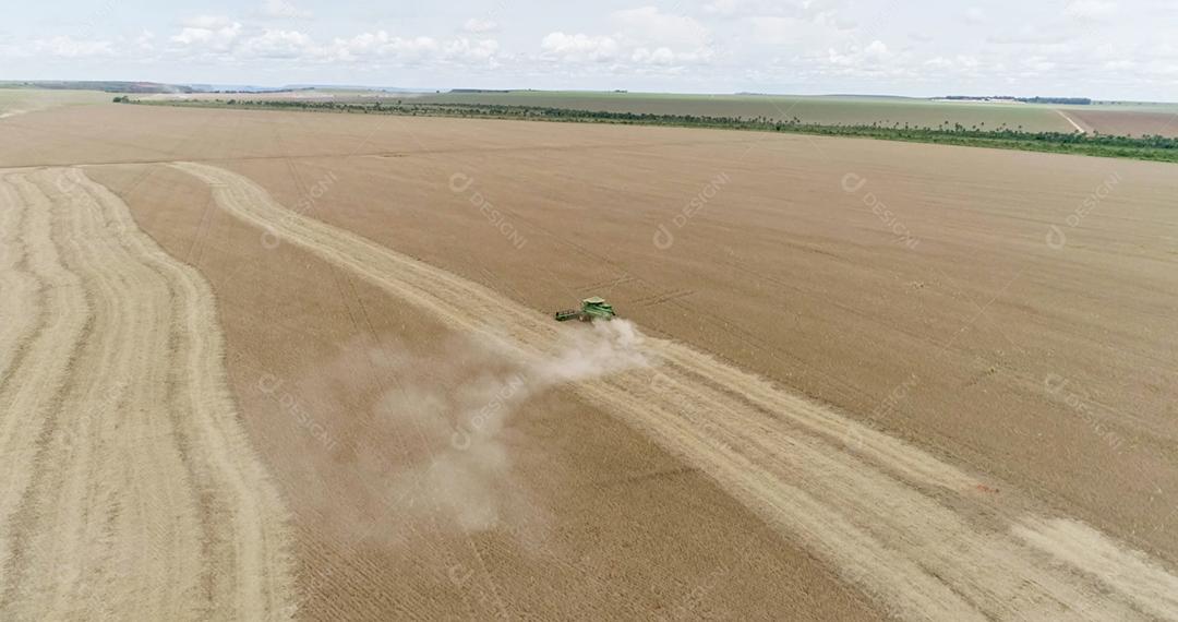 Colheita de soja em uma fazenda em Mato Grosso, Brasil.