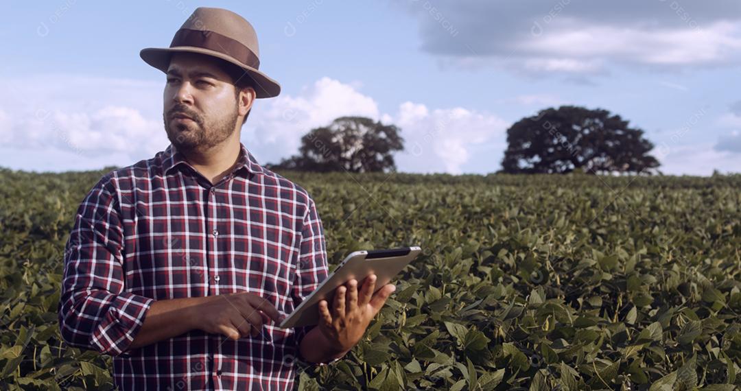 Agricultor latino-americano trabalhando na plantação de soja, examinando o desenvolvimento da cultura no tablet.
