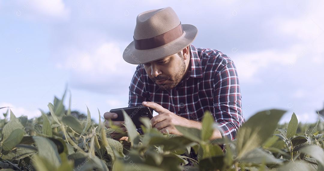Agricultor tirando fotos de plantação de soja