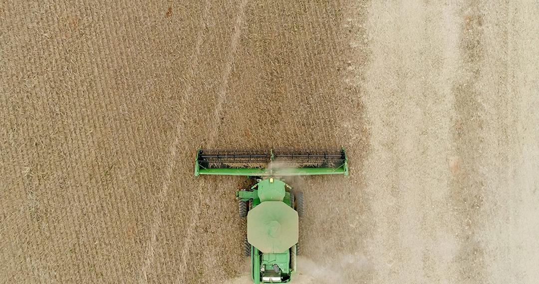 Colheita de soja em uma fazenda em Mato Grosso, Brasil.
