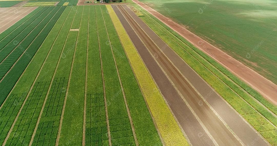 Aéreo sobrevoando campos com fardos de palha na época da colheita