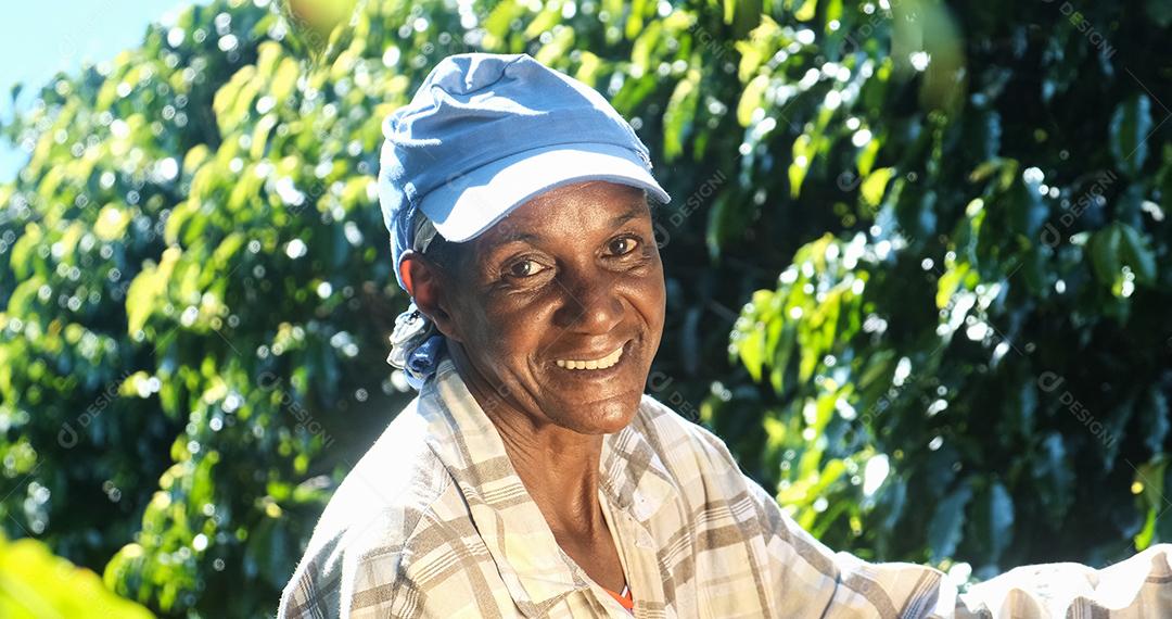 Mulher sorridente do Brasil colhendo sementes de café vermelho no plano de café