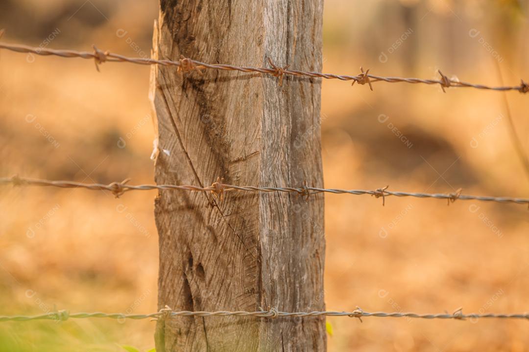 Poste de madeira e arame farpado. Arame farpado de aço galvanizado se estende por uma paisagem rural.