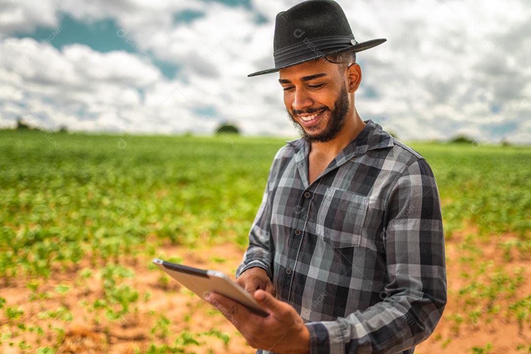Agricultor latino-americano trabalhando na plantação de soja, examinando o desenvolvimento da cultura no tablet.