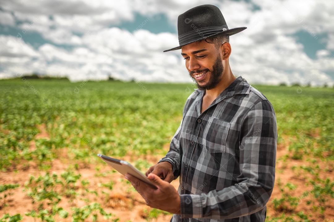 Agricultor latino-americano trabalhando na plantação de soja, examinando o desenvolvimento da cultura no tablet.