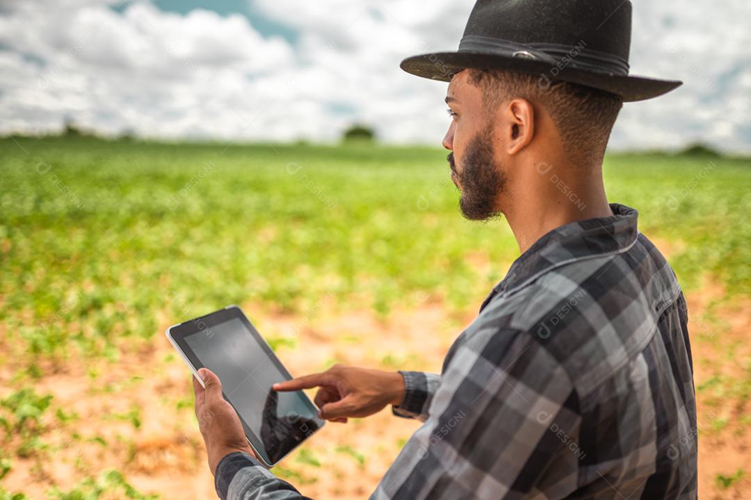 Agricultor latino-americano trabalhando na plantação de soja, examinando o desenvolvimento da cultura no tablet.