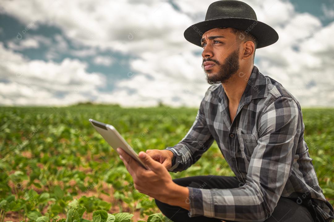 Agricultor latino-americano trabalhando na plantação de soja, examinando o desenvolvimento da cultura no tablet.
