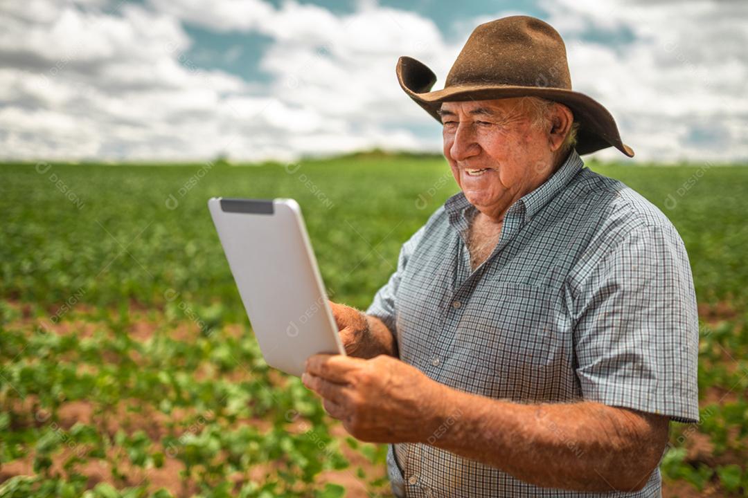 Agricultor latino-americano trabalhando na plantação de soja, examinando o desenvolvimento da cultura no tablet