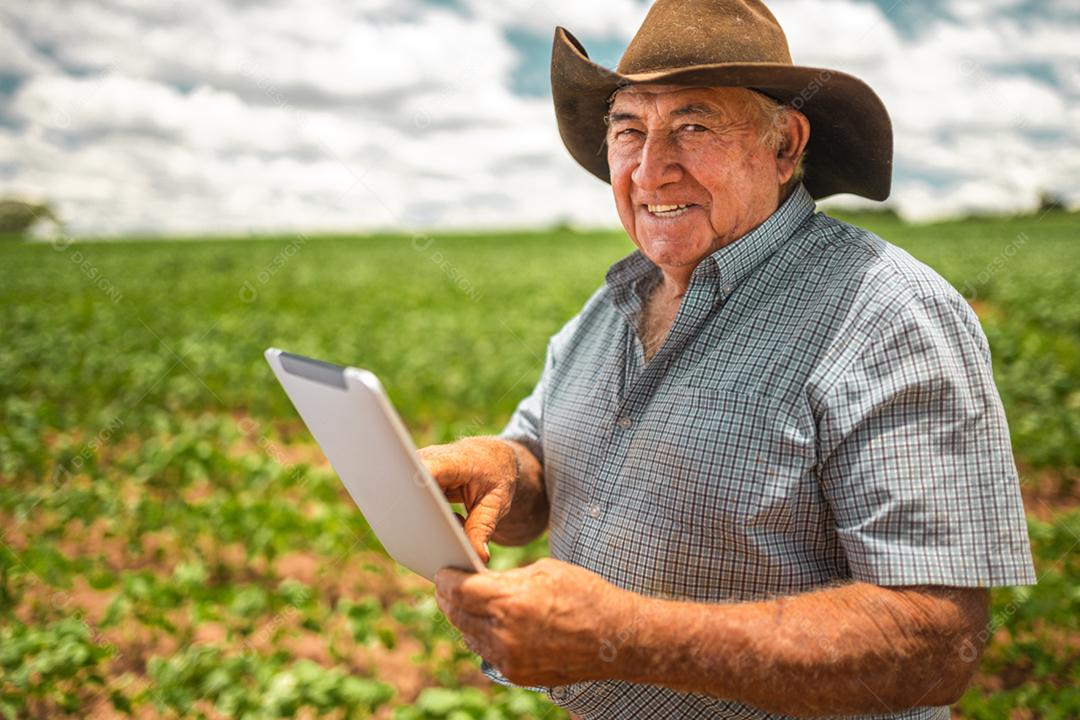 Agricultor latino-americano trabalhando na plantação de soja, examinando o desenvolvimento da cultura no tablet