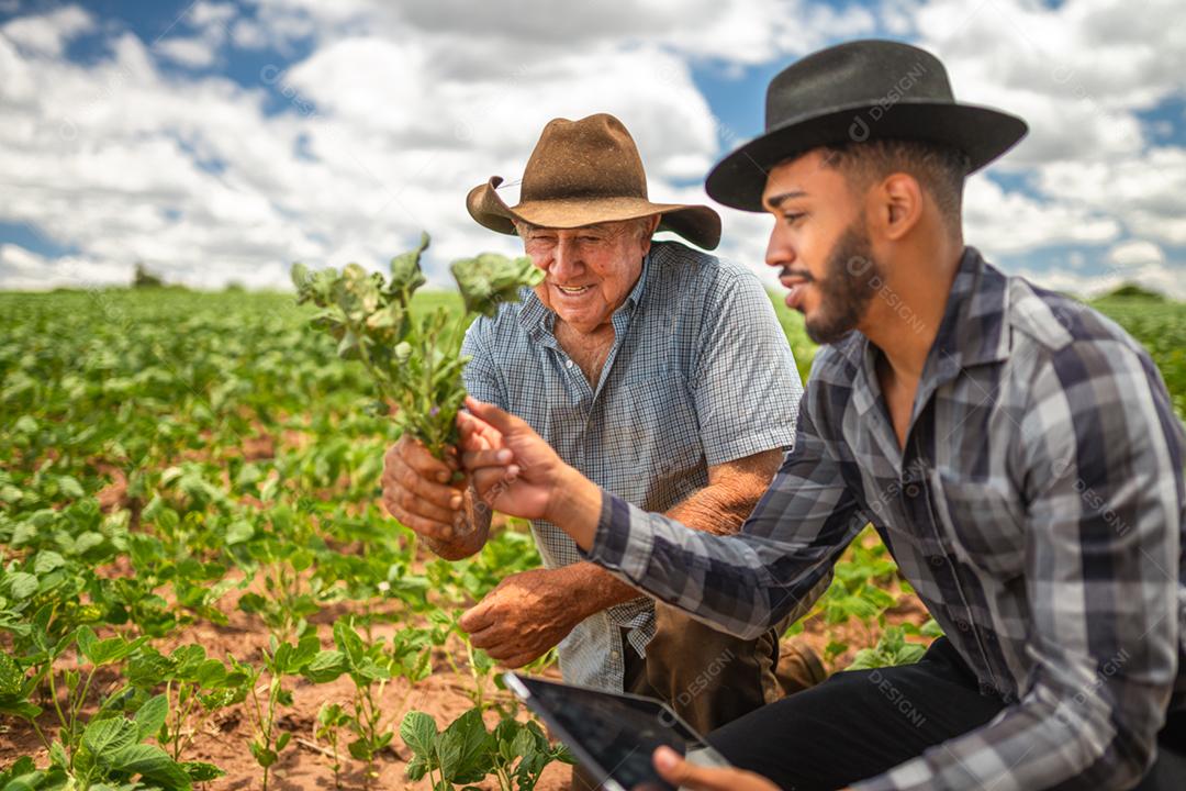 Agricultores da América Latina trabalhando na plantação, segurando uma pequena muda de soja.