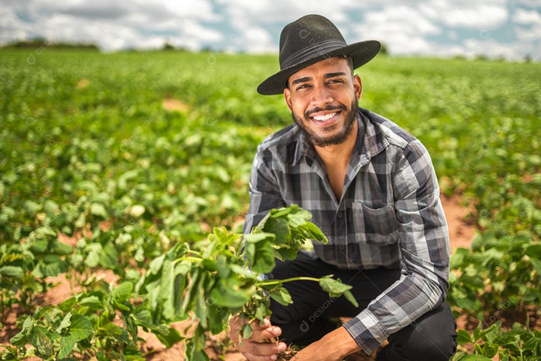 Agricultor latino-americano trabalhando na plantação, segurando uma pequena muda de soja.